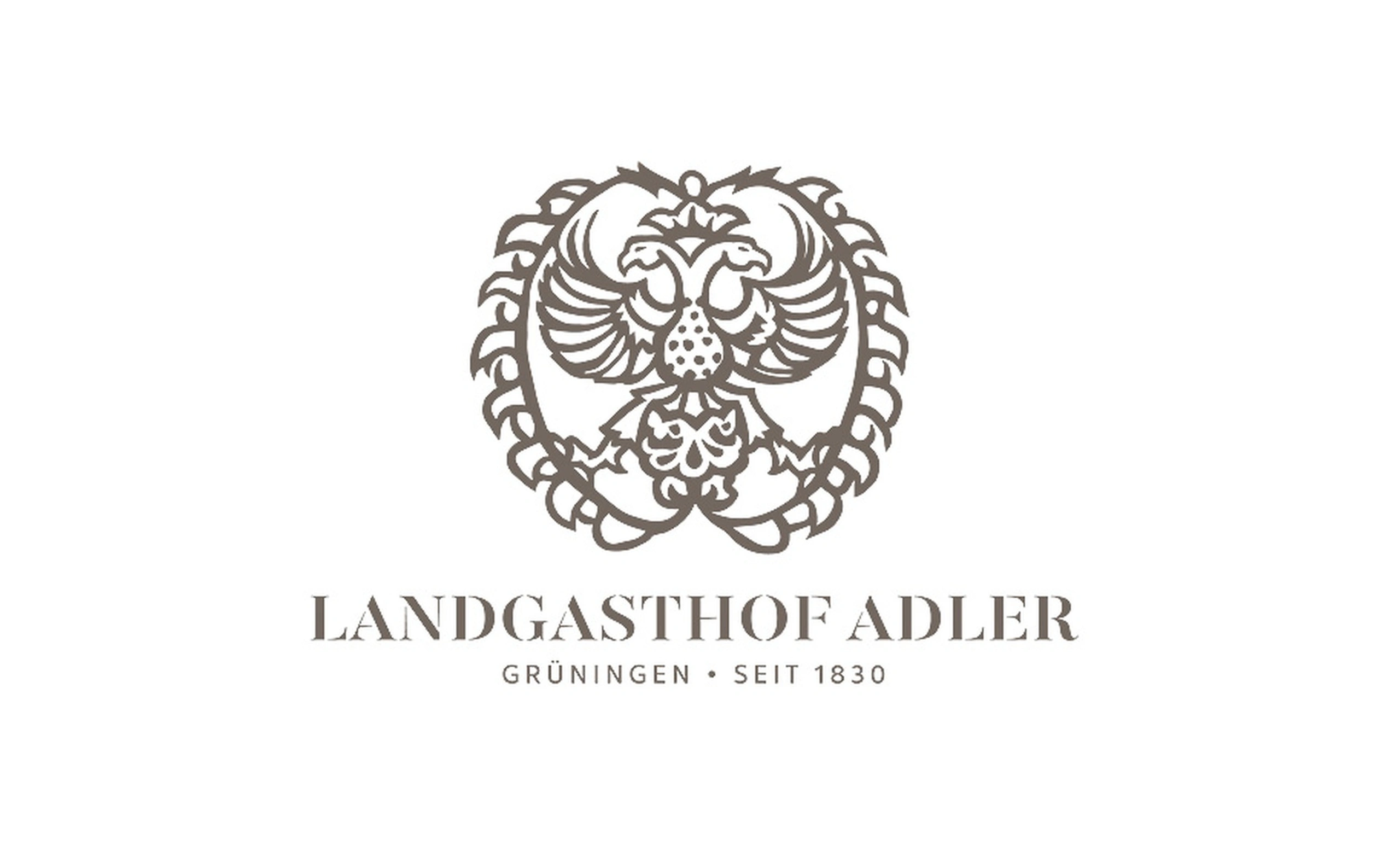 bild - e621 Adler Grüningen – Rebranding, Webseite & CMS by E621