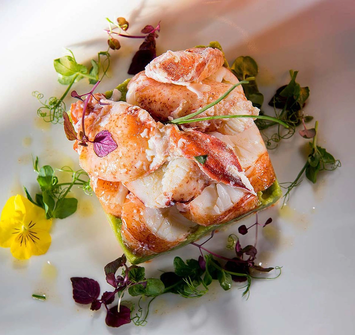 bild - e621 Hotel Olden Gstaad – Markenaufbau & Kampagnen by E621