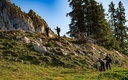 e621 - e621_webagentur_bern_jagd_bruno_kernenDSC_0230.jpg