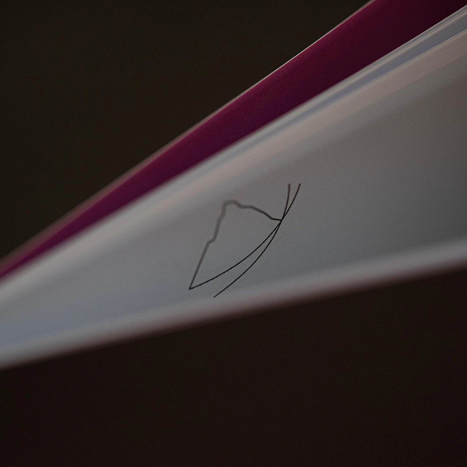 e621 - e621_webagentur_Werbeagntur_bern_Buttefly_zermattDSC_3040.jpg