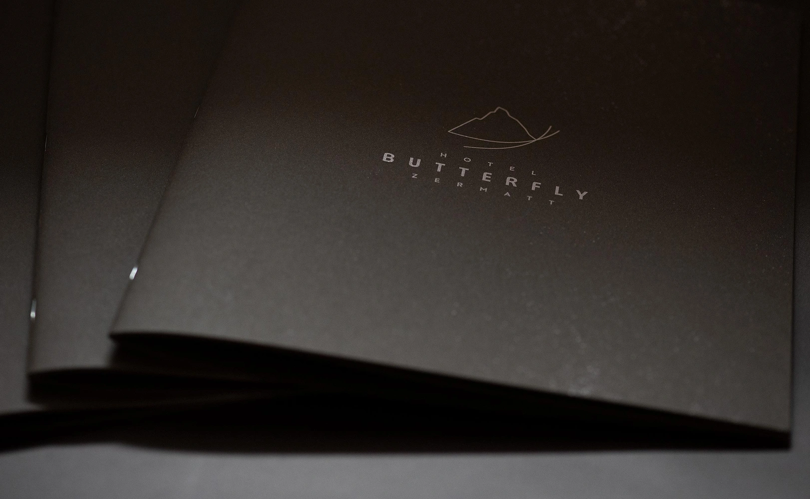 e621 - e621_webagentur_Werbeagntur_bern_Buttefly_zermattDSC_3043.jpg