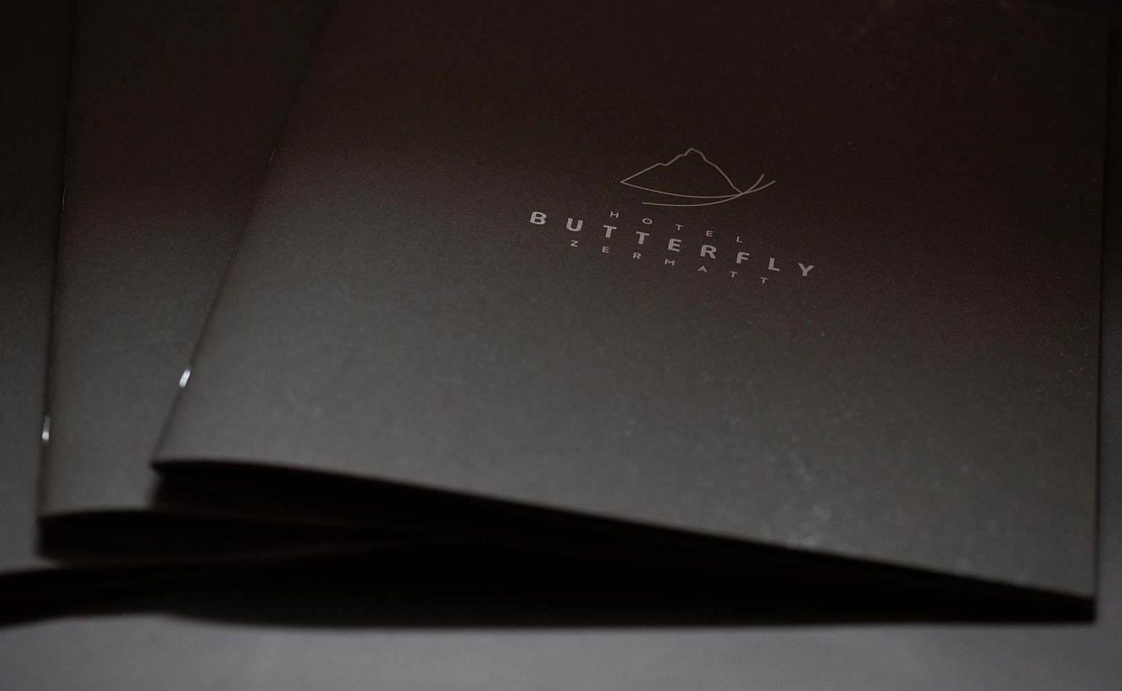 e621 - e621_webagentur_Werbeagntur_bern_Buttefly_zermattDSC_3043.jpg