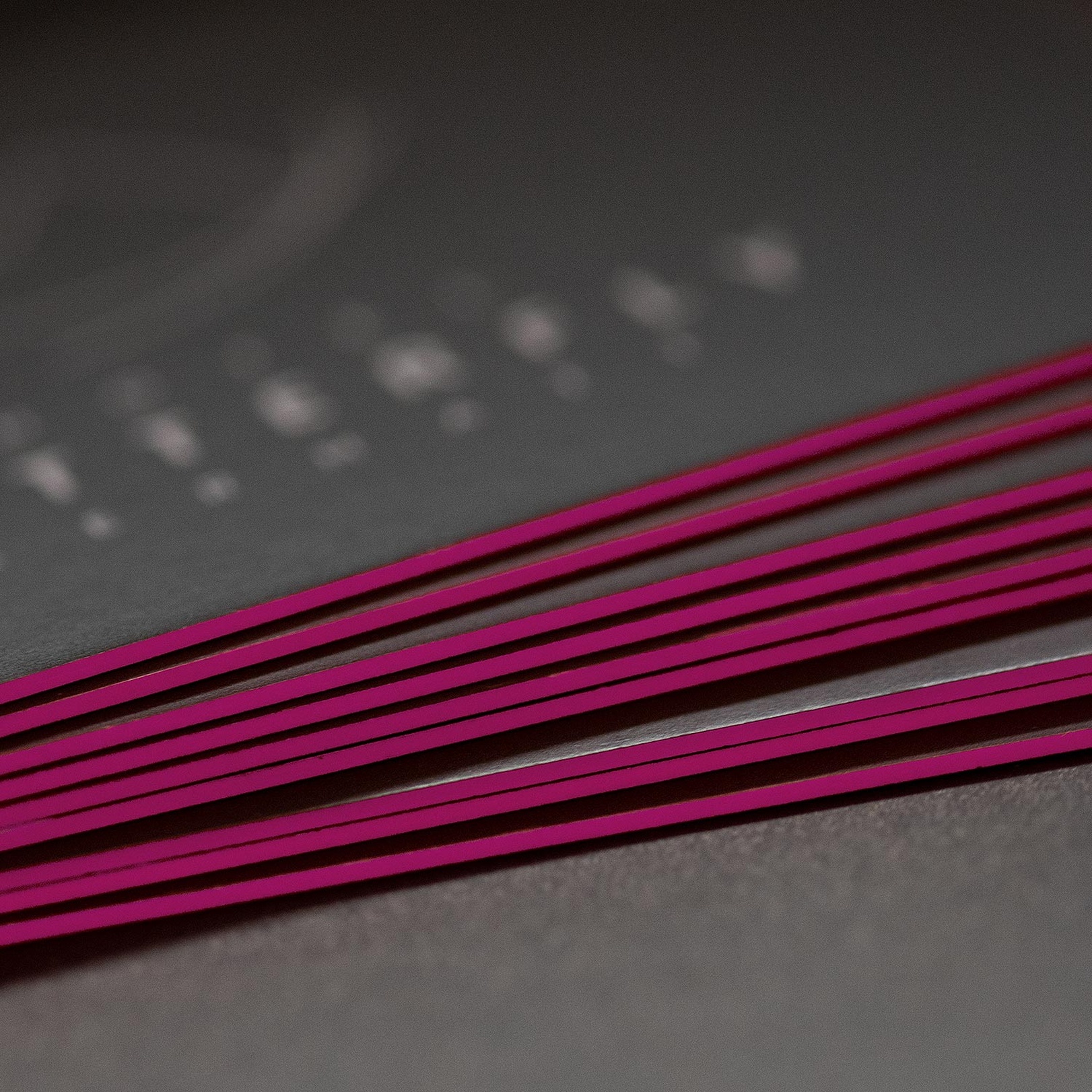 e621 - e621_webagentur_Werbeagntur_bern_Buttefly_zermattDSC_3047.jpg