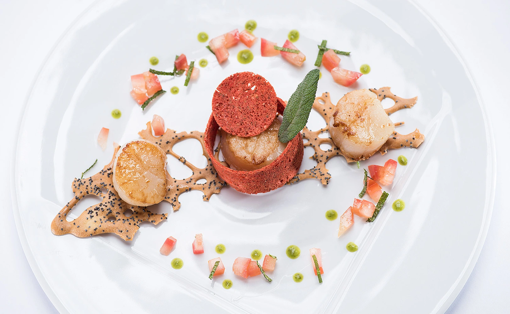 e621 - e621_webagentur_Werbeagntur_bern_fotografieDSC_0023.jpg