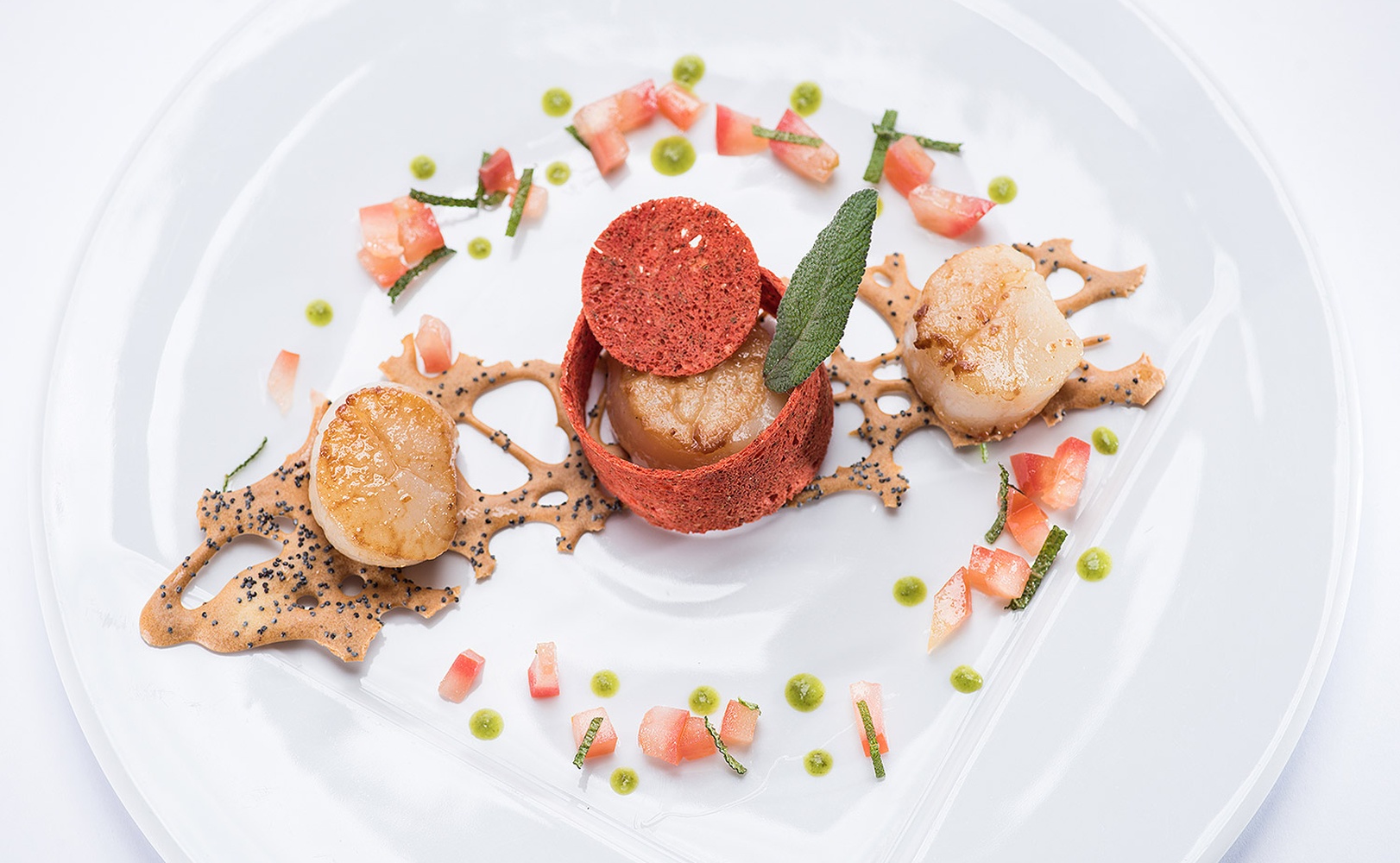 e621 - e621_webagentur_Werbeagntur_bern_fotografieDSC_0023.jpg