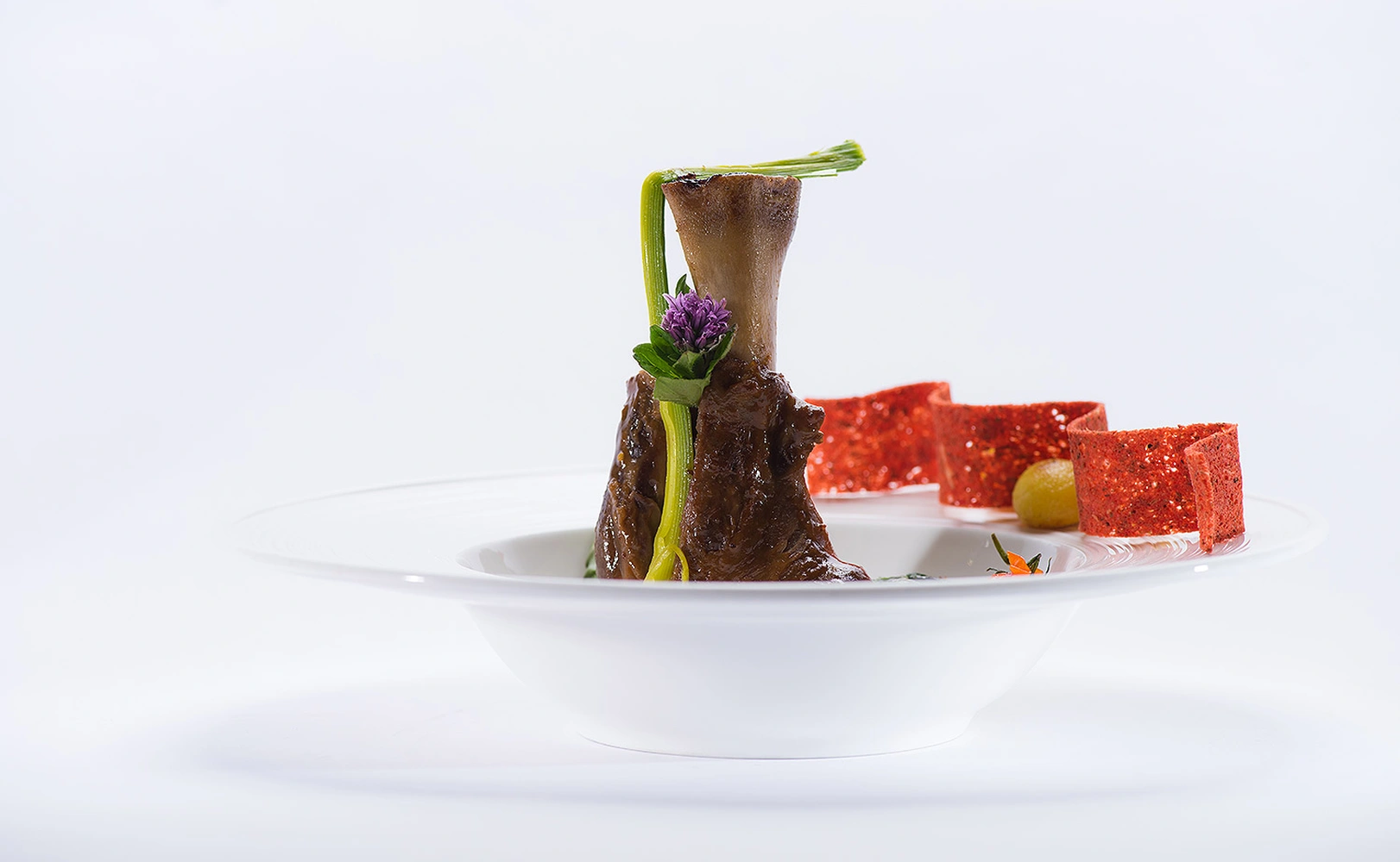 e621 - e621_webagentur_Werbeagntur_bern_fotografieDSC_9887.jpg