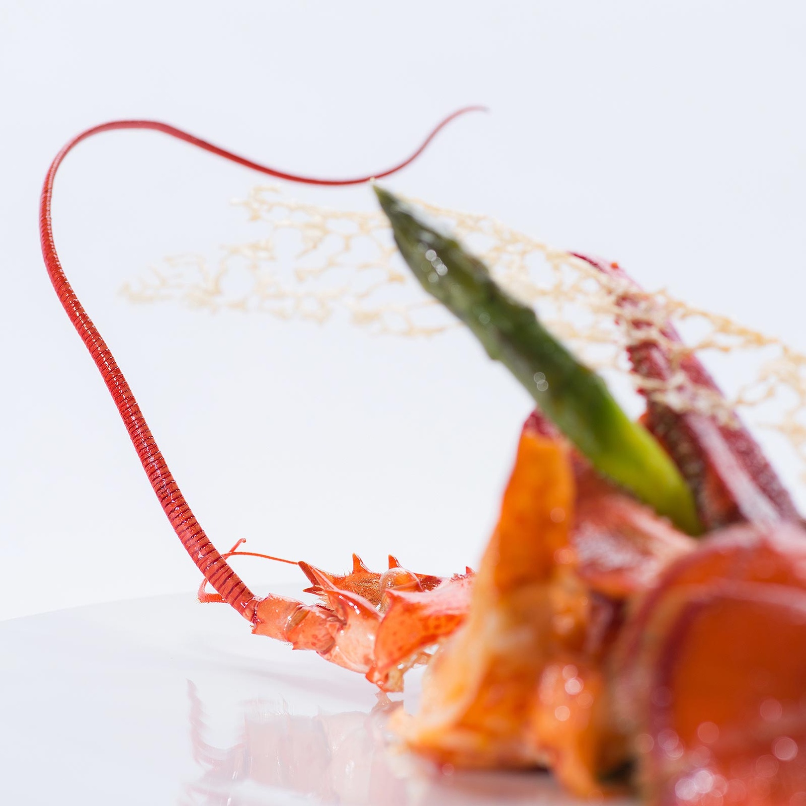 e621 - e621_webagentur_Werbeagntur_bern_fotografiee621_webagentur_Werbeagntur_bern_fotografieDSC_9711.jpg