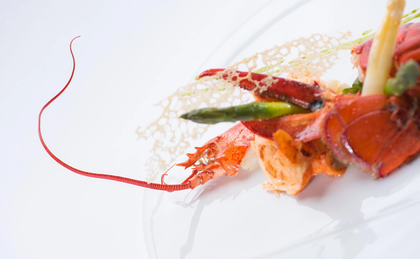 e621 - e621_webagentur_Werbeagntur_bern_fotografiee621_webagentur_Werbeagntur_bern_fotografieDSC_9714.jpg