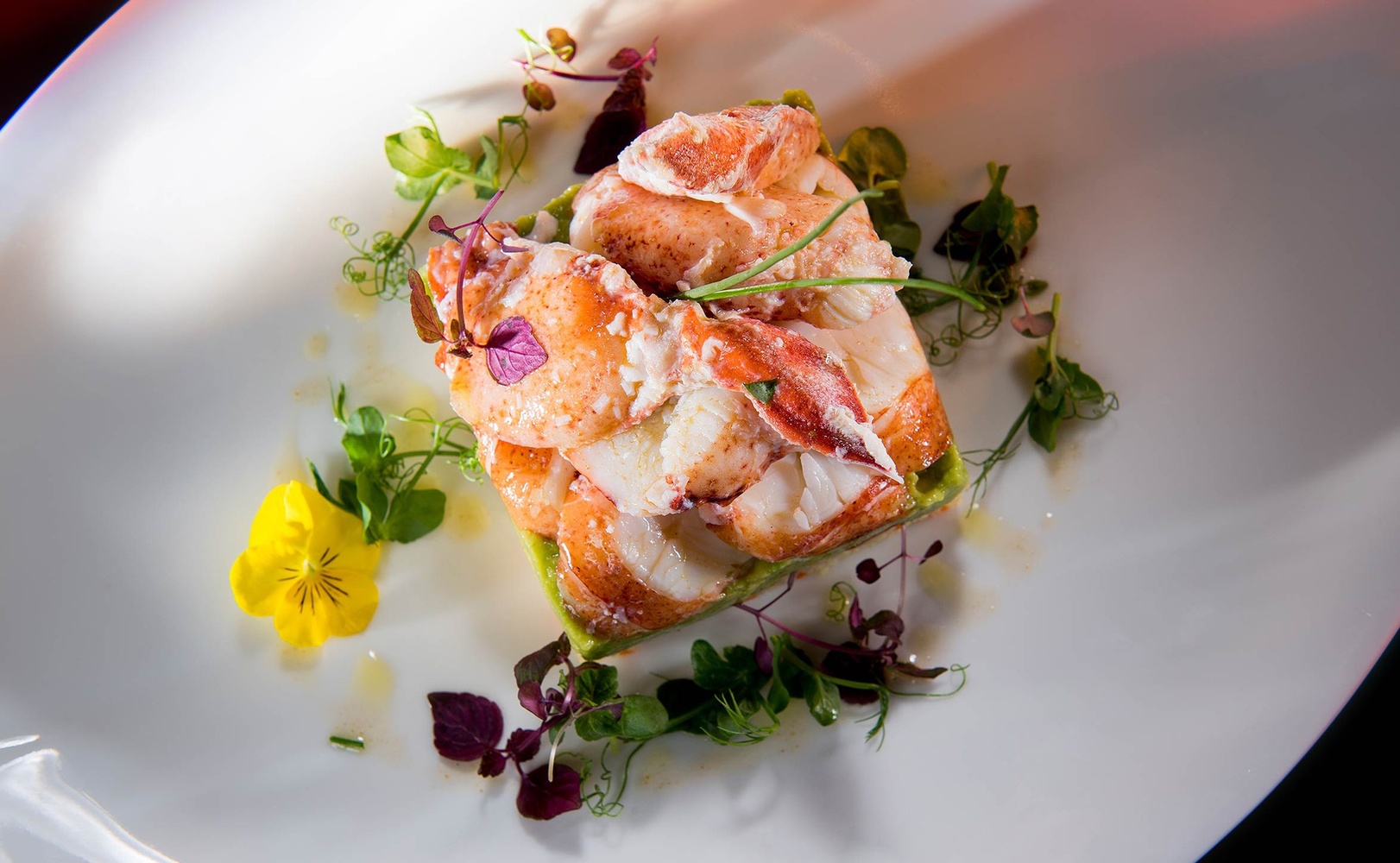 e621 - e621_webagentur_Werbeagntur_bern_fotografiewerbeagentur-bern-e621.jpg__2000x1133_q95_crop-1_subsampling-2_upscale-1.jpg