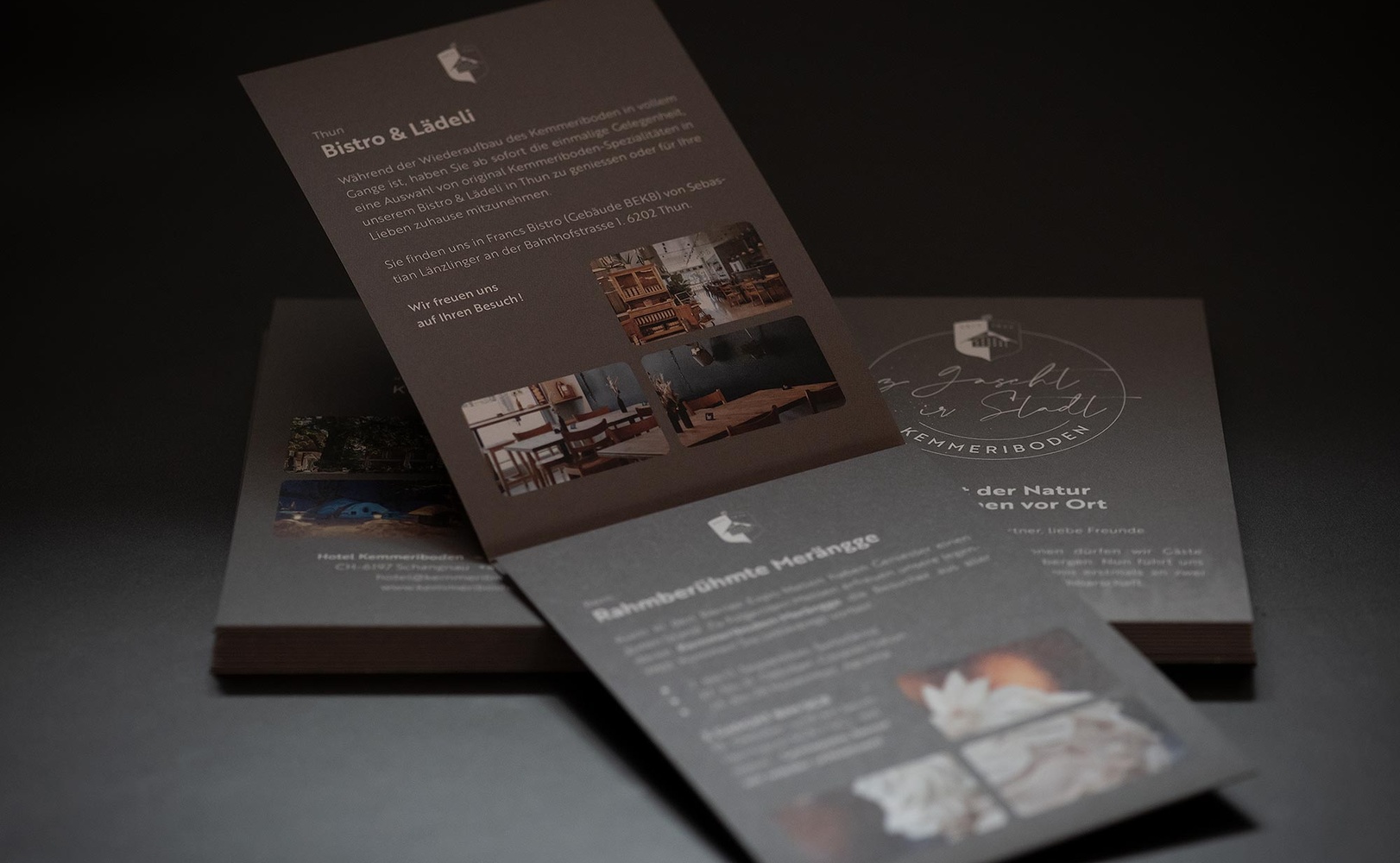 e621 - e621_webagentur_Werbeagntur_bern_kemmeribodenDSC_3060.jpg