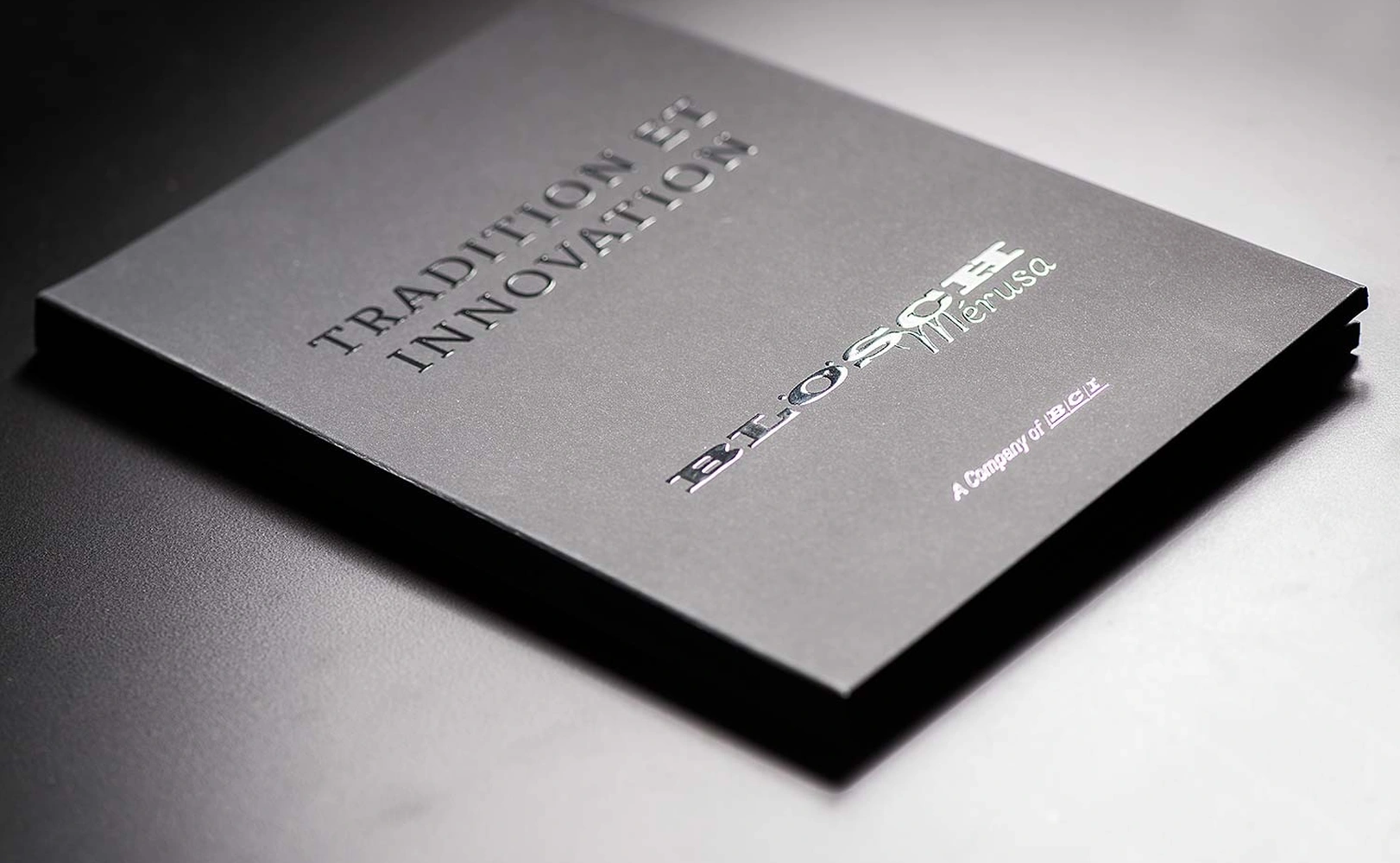 e621 - e621_webagentur_Werbeagntur_bern_zimmermanbauDSC_0592.jpg