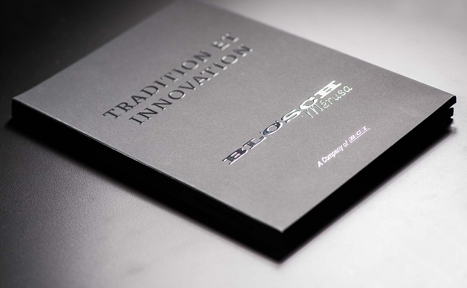 e621 - e621_webagentur_Werbeagntur_bern_zimmermanbauDSC_0592.jpg