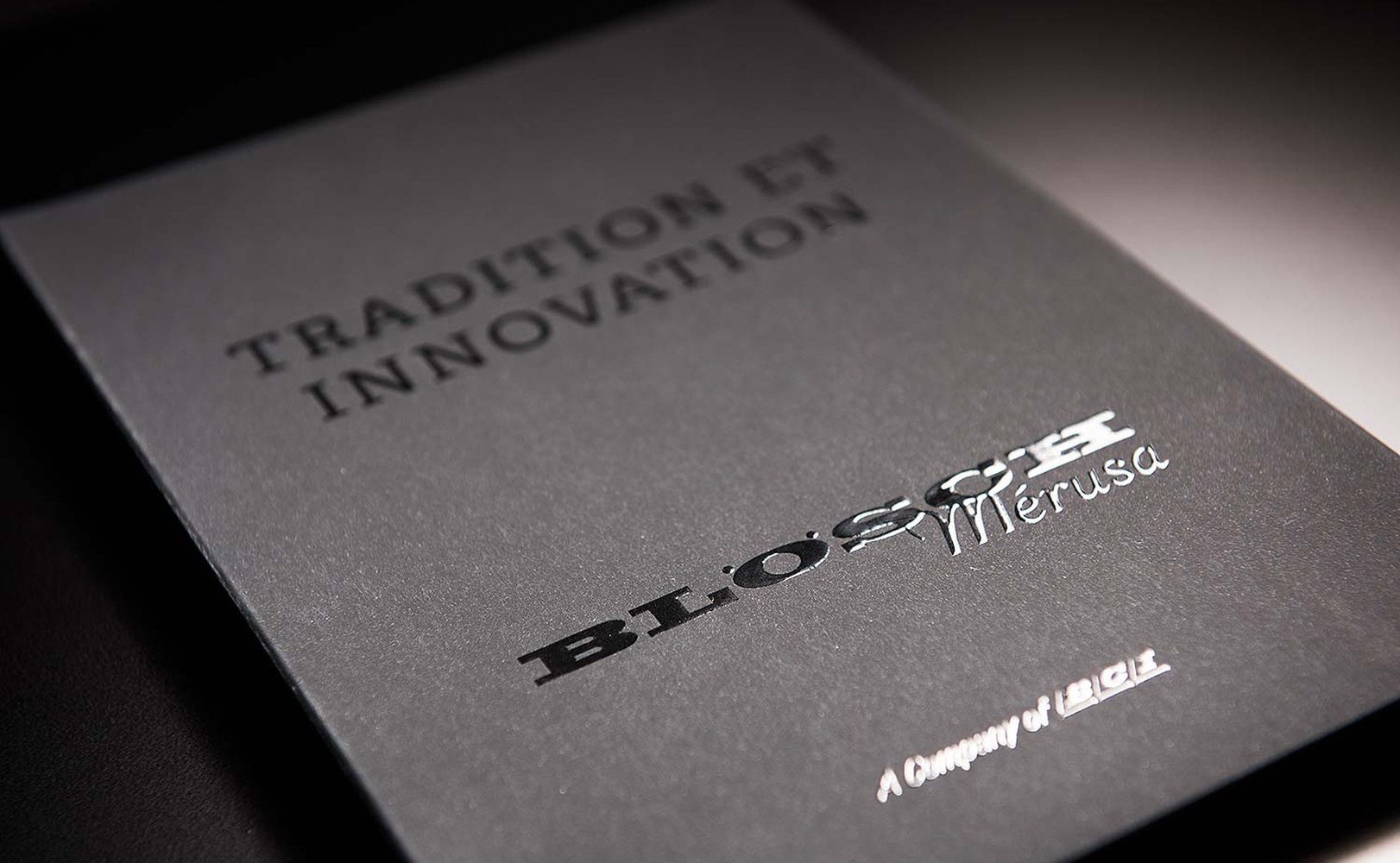 e621 - e621_webagentur_Werbeagntur_bern_zimmermanbauDSC_0599.jpg