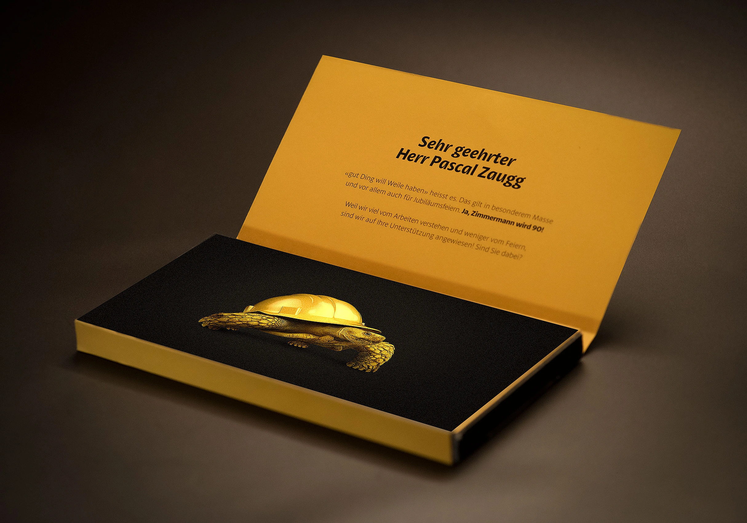 zimmermann-website-cms-multisite