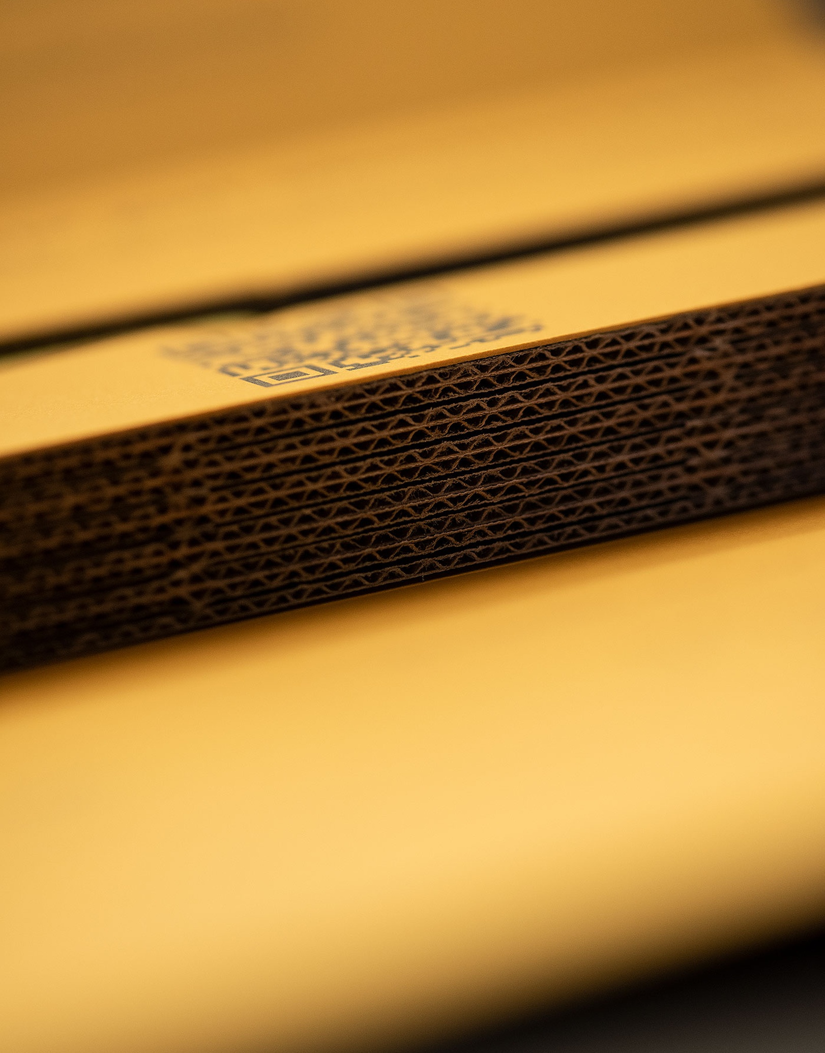 e621 - e621_webagentur_Werbeagntur_bern_zimmermanbauDSC_3003.jpg