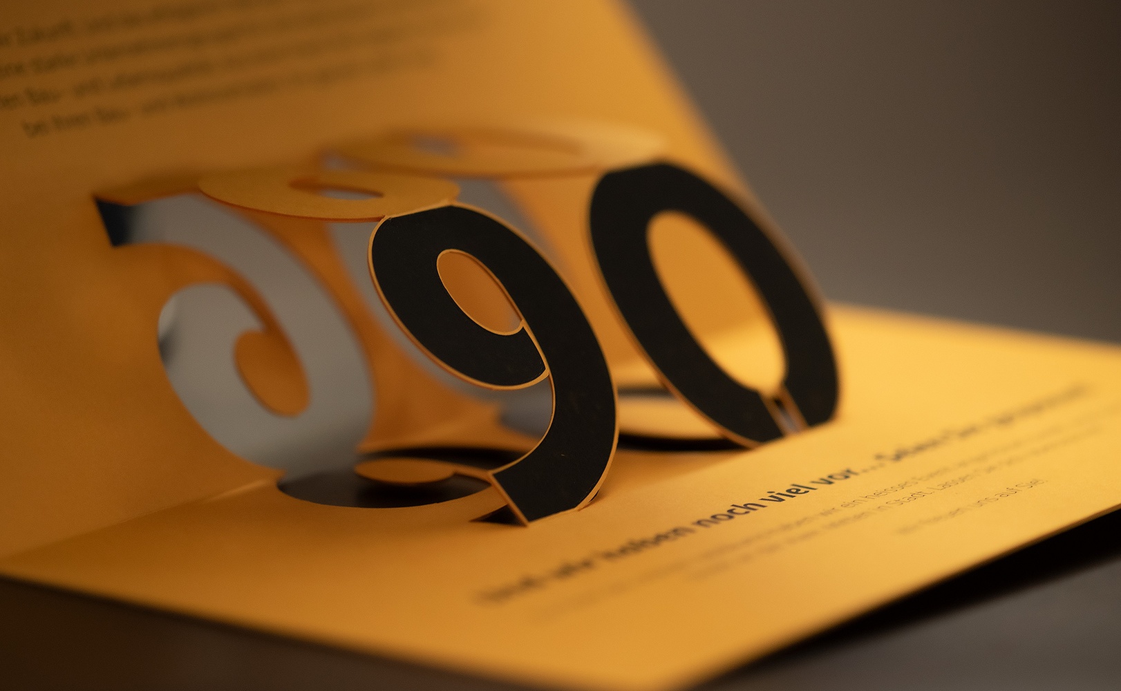 e621 - e621_webagentur_Werbeagntur_bern_zimmermanbauDSC_3010.jpg