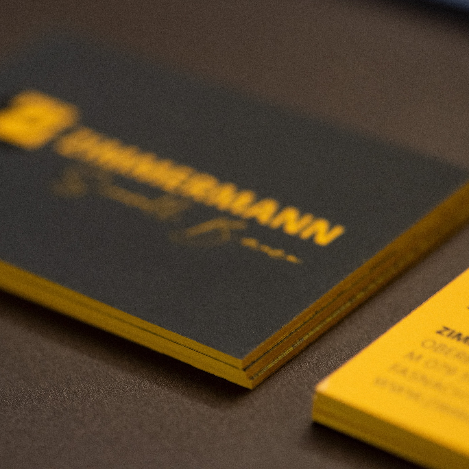 e621 - e621_webagentur_Werbeagntur_bern_zimmermanbauDSC_3021.jpg