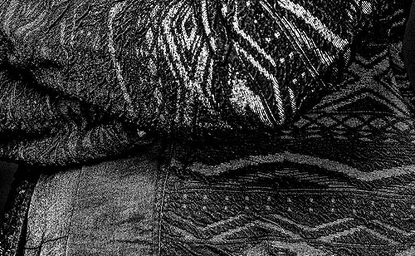 e621 - e621_webagentur_Werbeagntur_bern_zimmermanbauPM.jpg