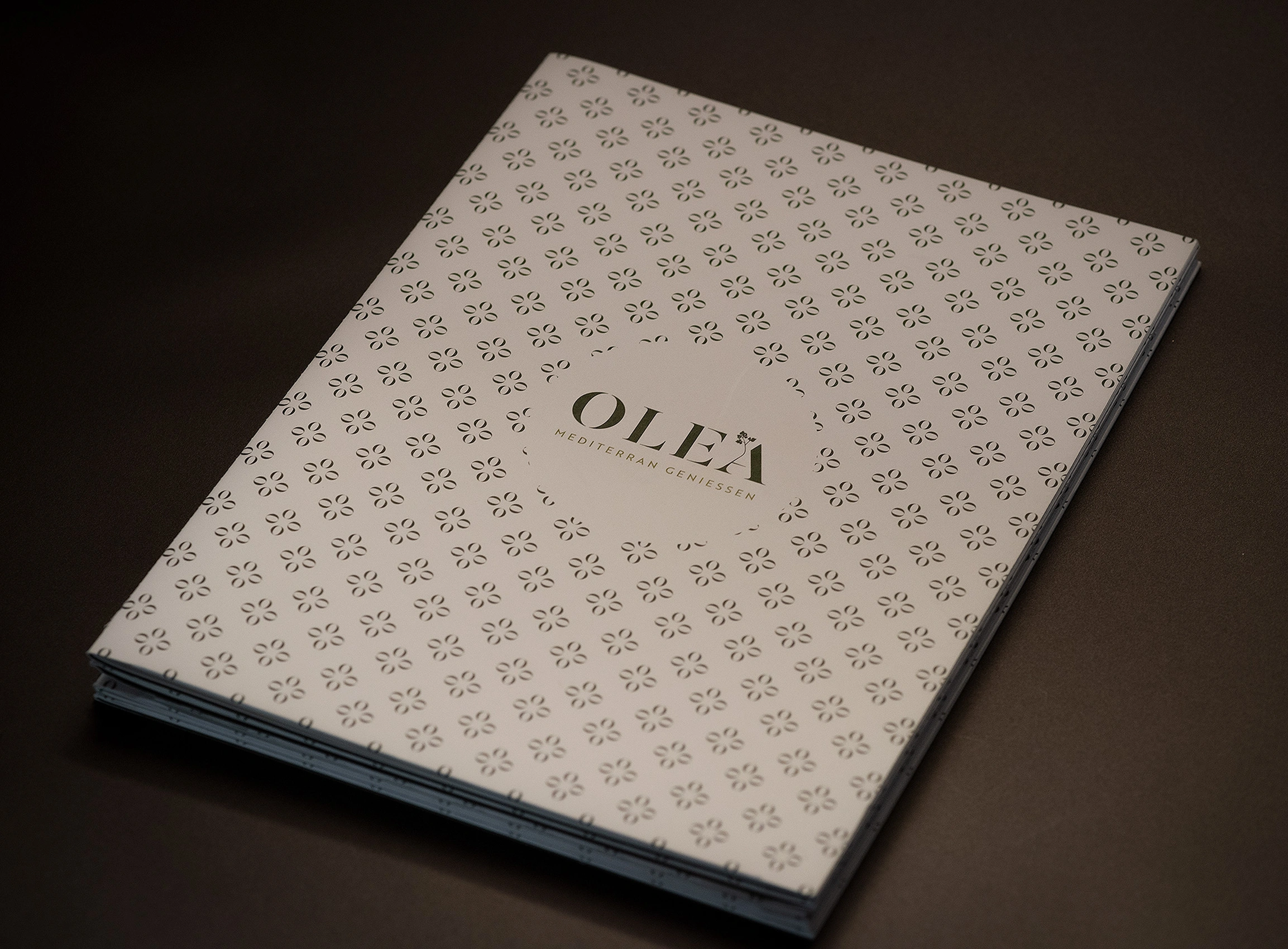 bild - e621 Seedam Plaza Olea