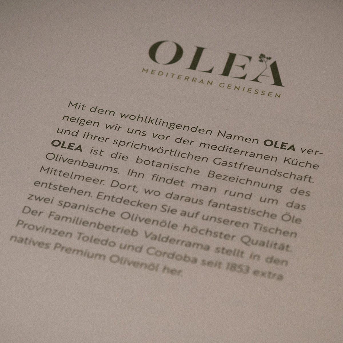 bild - e621 OLEA im Hotel Seedaam Plaza