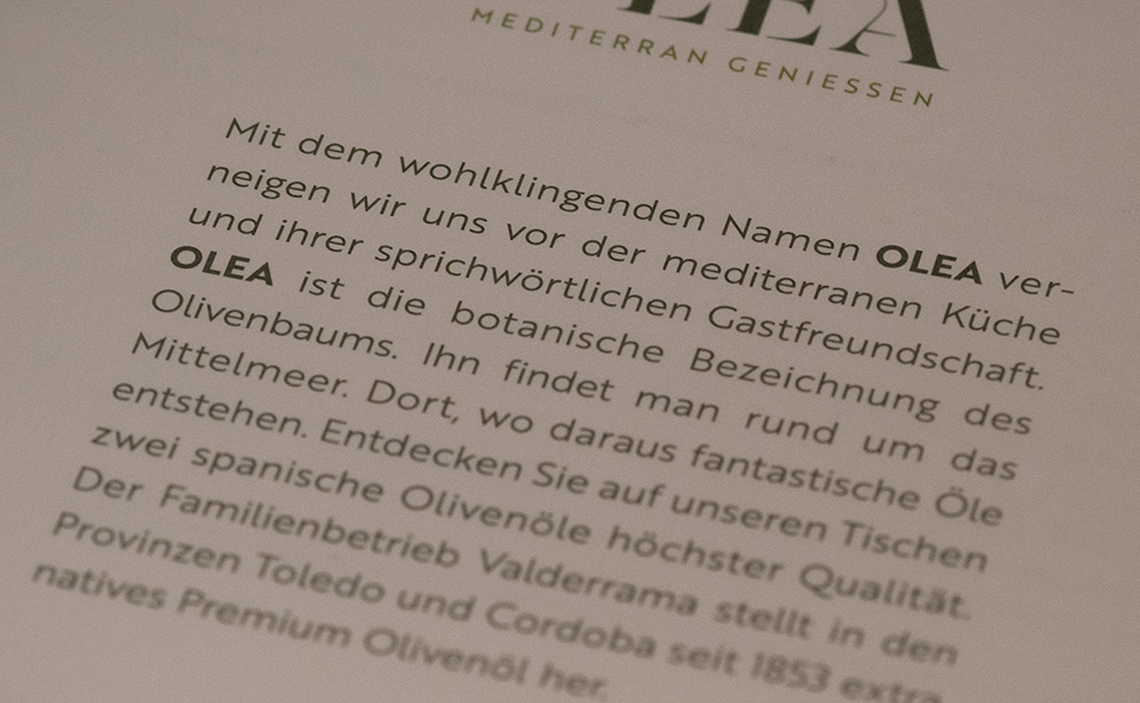 e621 - e621_webagentur_Werbeagntur_bernDSC_2974.jpg