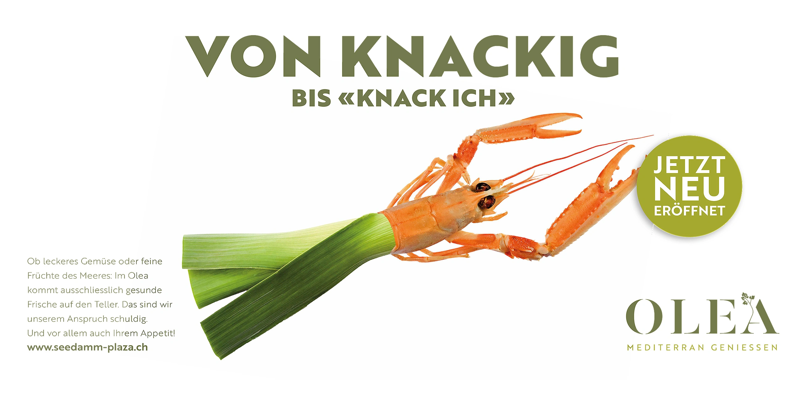 bild - e621 Seedam Plaza – Gastro Markenentwicklung & Kampagnen by E621