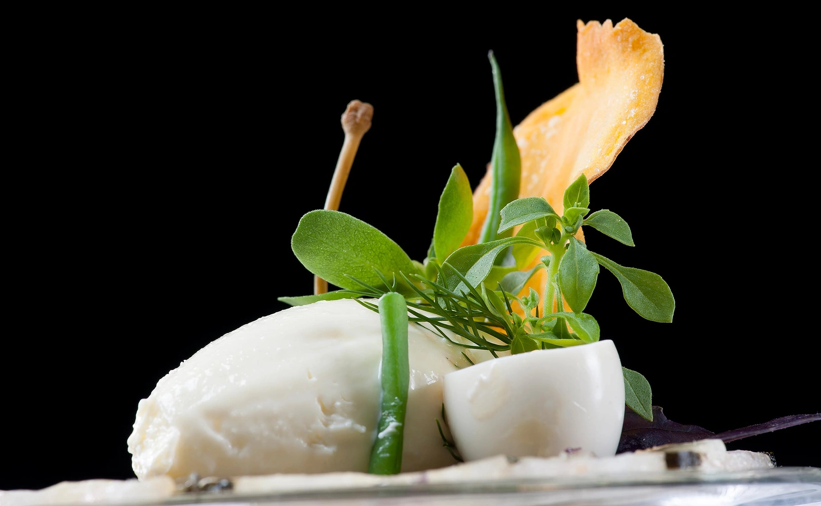 e621 - e621_werbeagentur_bern_e621_die_berner_werbeagentur_foto_website_logo (37).jpg