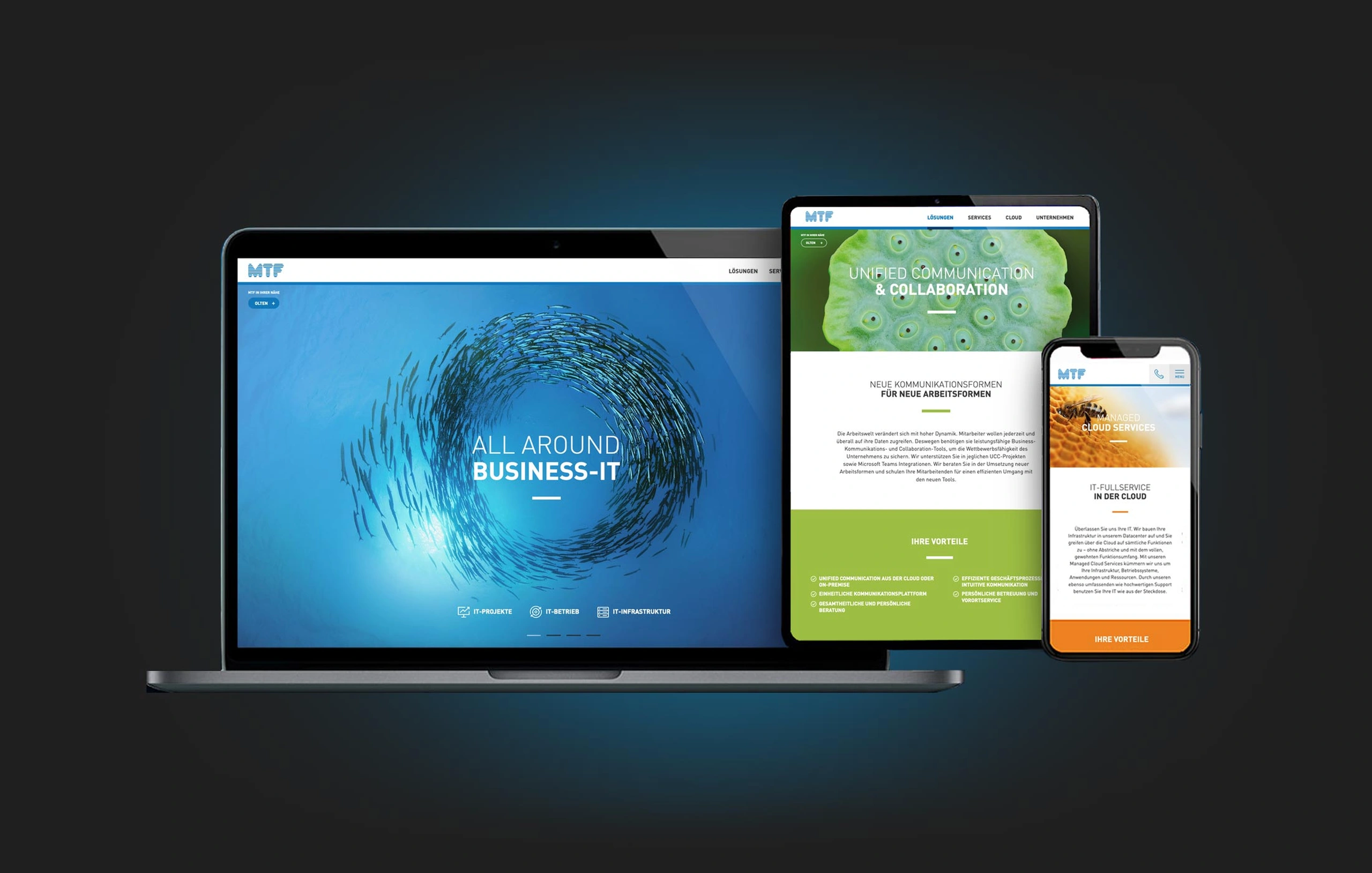 mtf-webdesign-cms-multisite