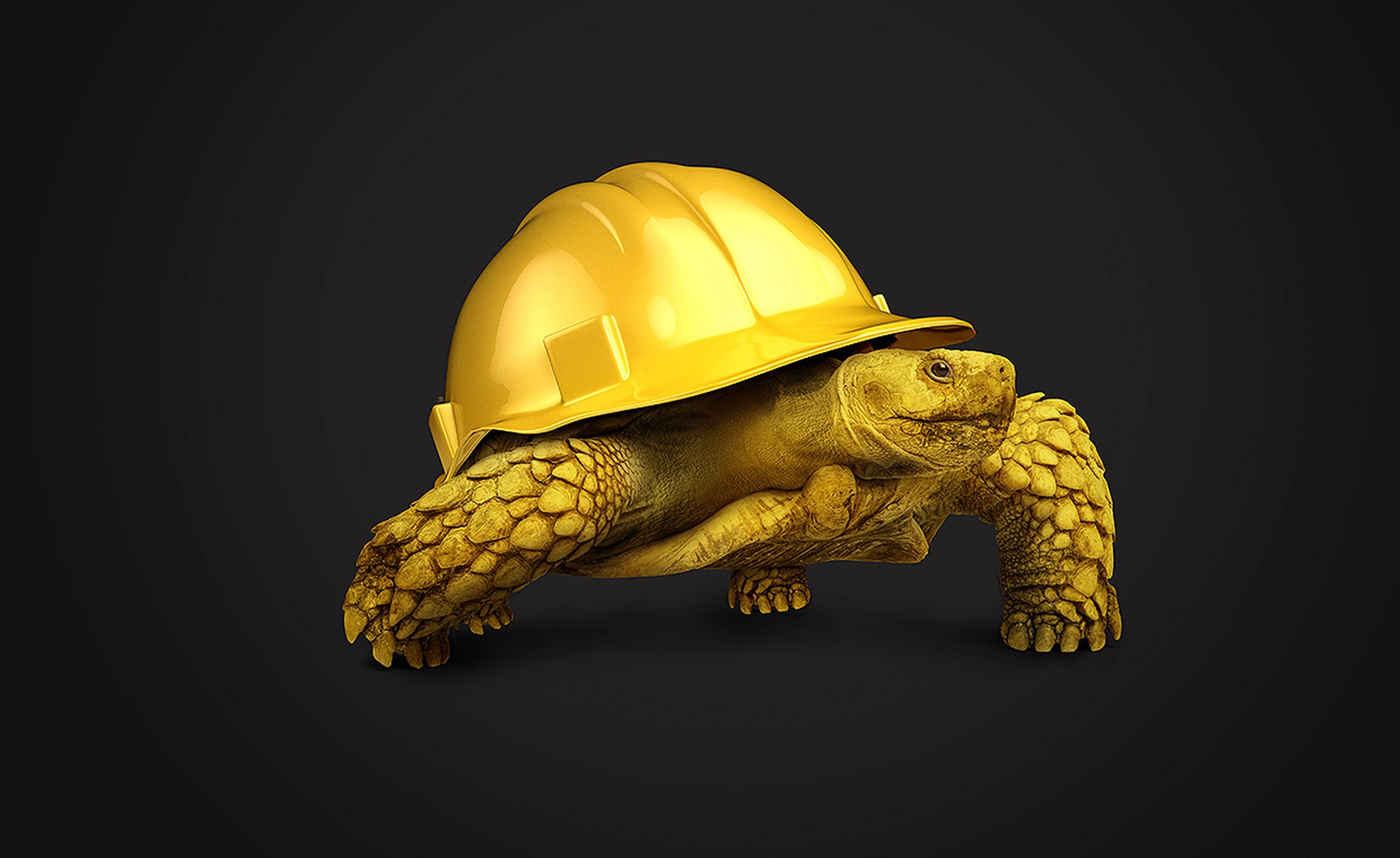 zimmermann-reportagefotografie-bauprojekte