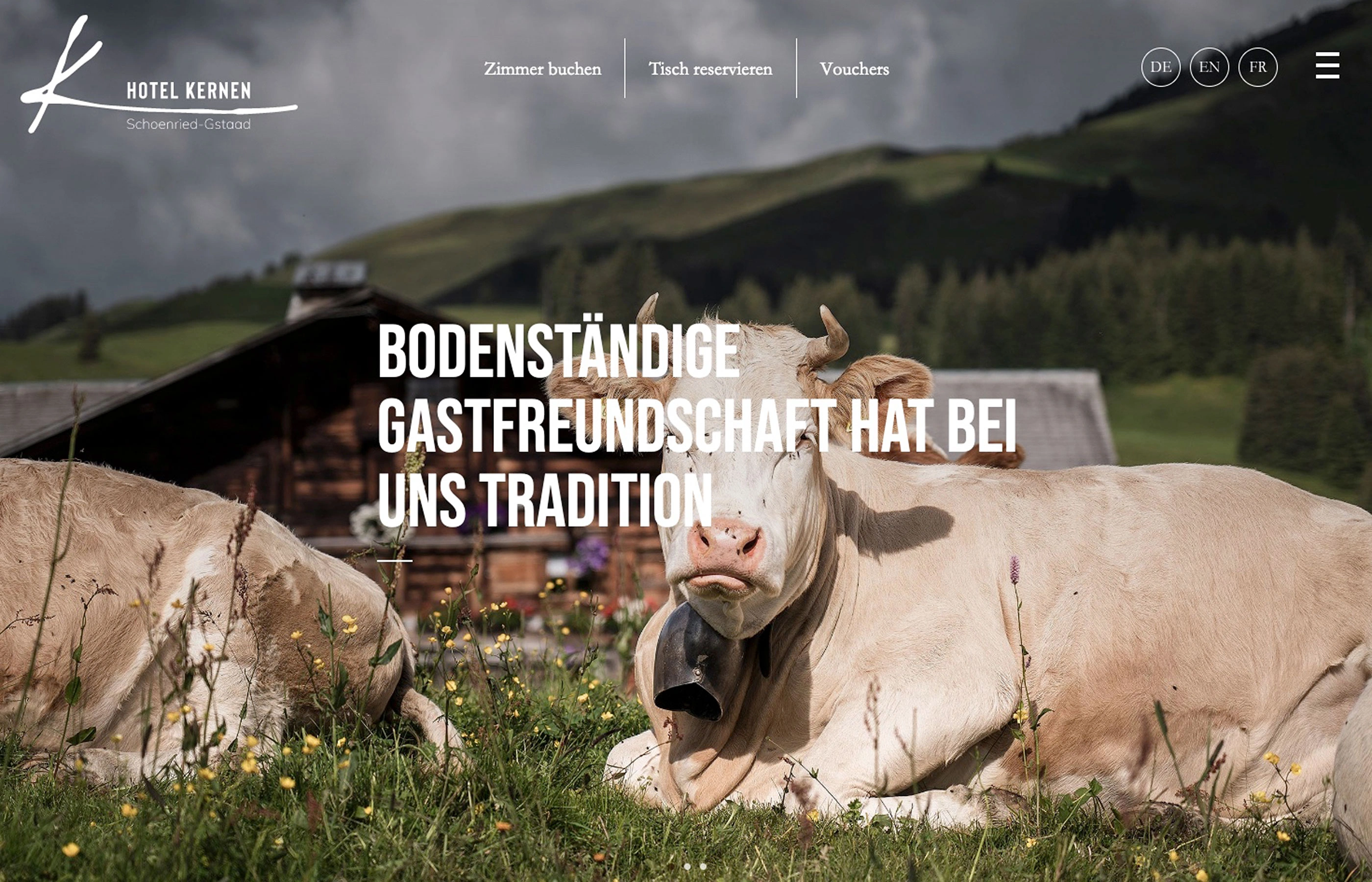 Neue Webseite