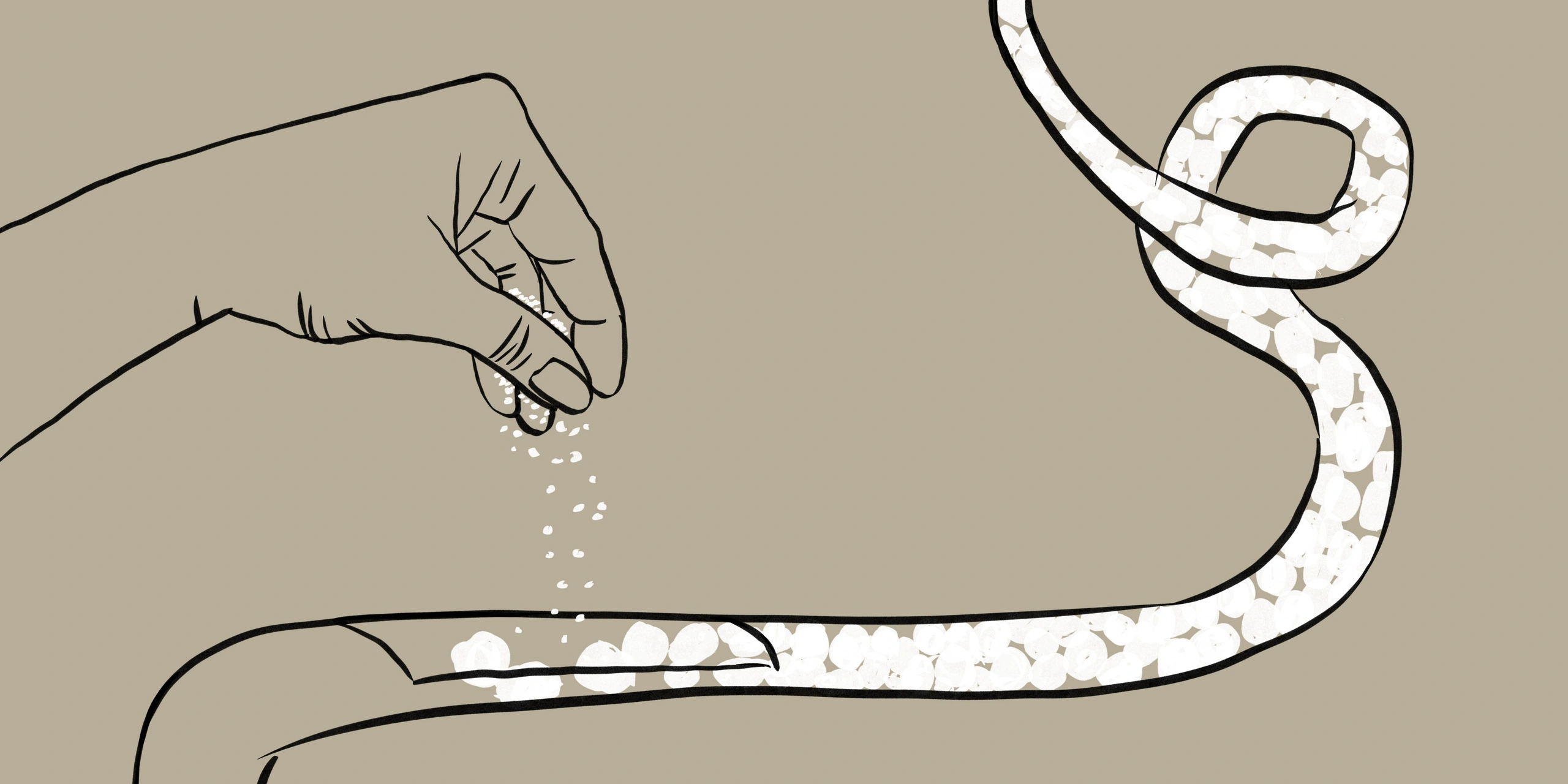 webseite-jumi-kaeseproduktion-illustrationen-e621