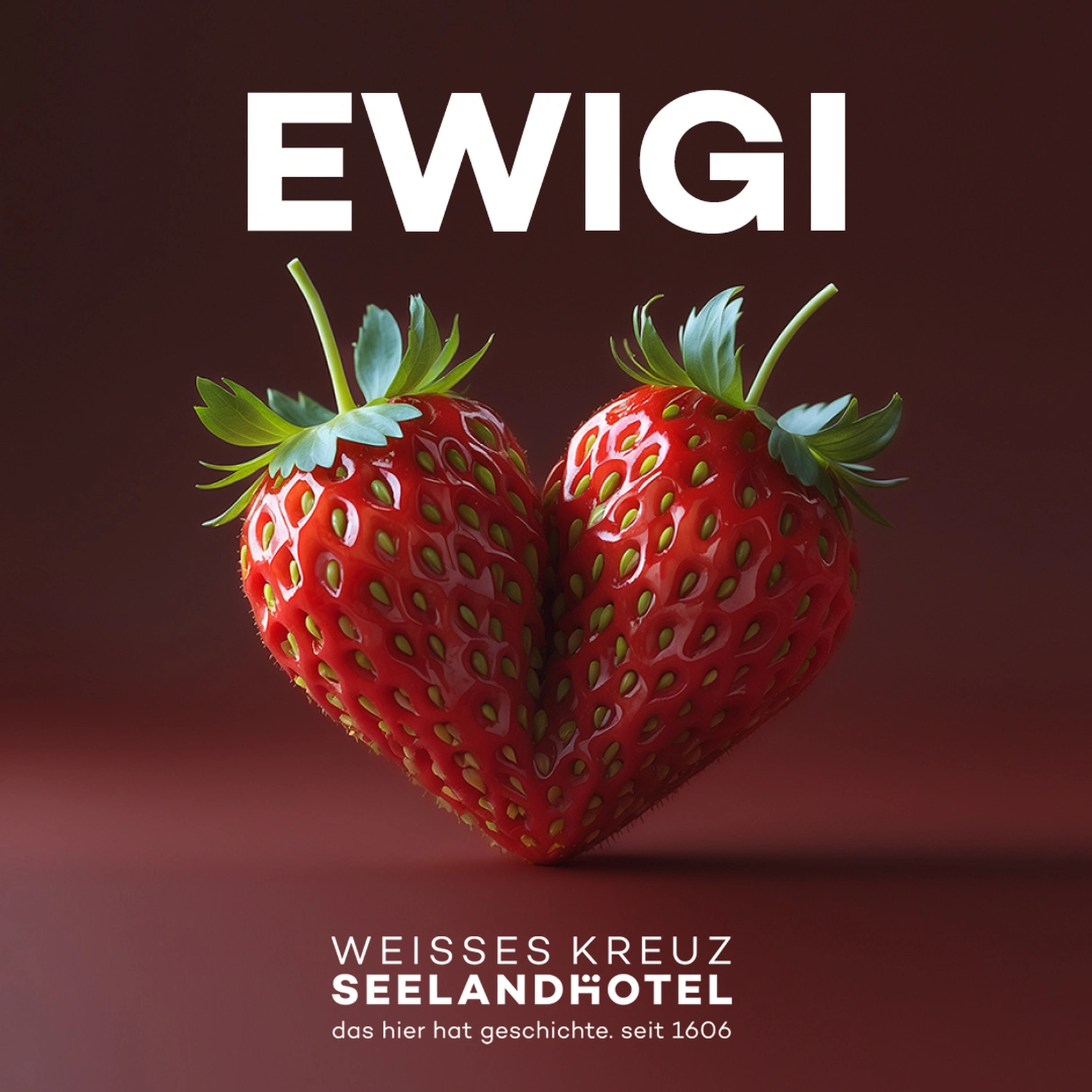 bild - e621 Seelandhotel Lyss – Redesign der Marke Weisses Kreuz