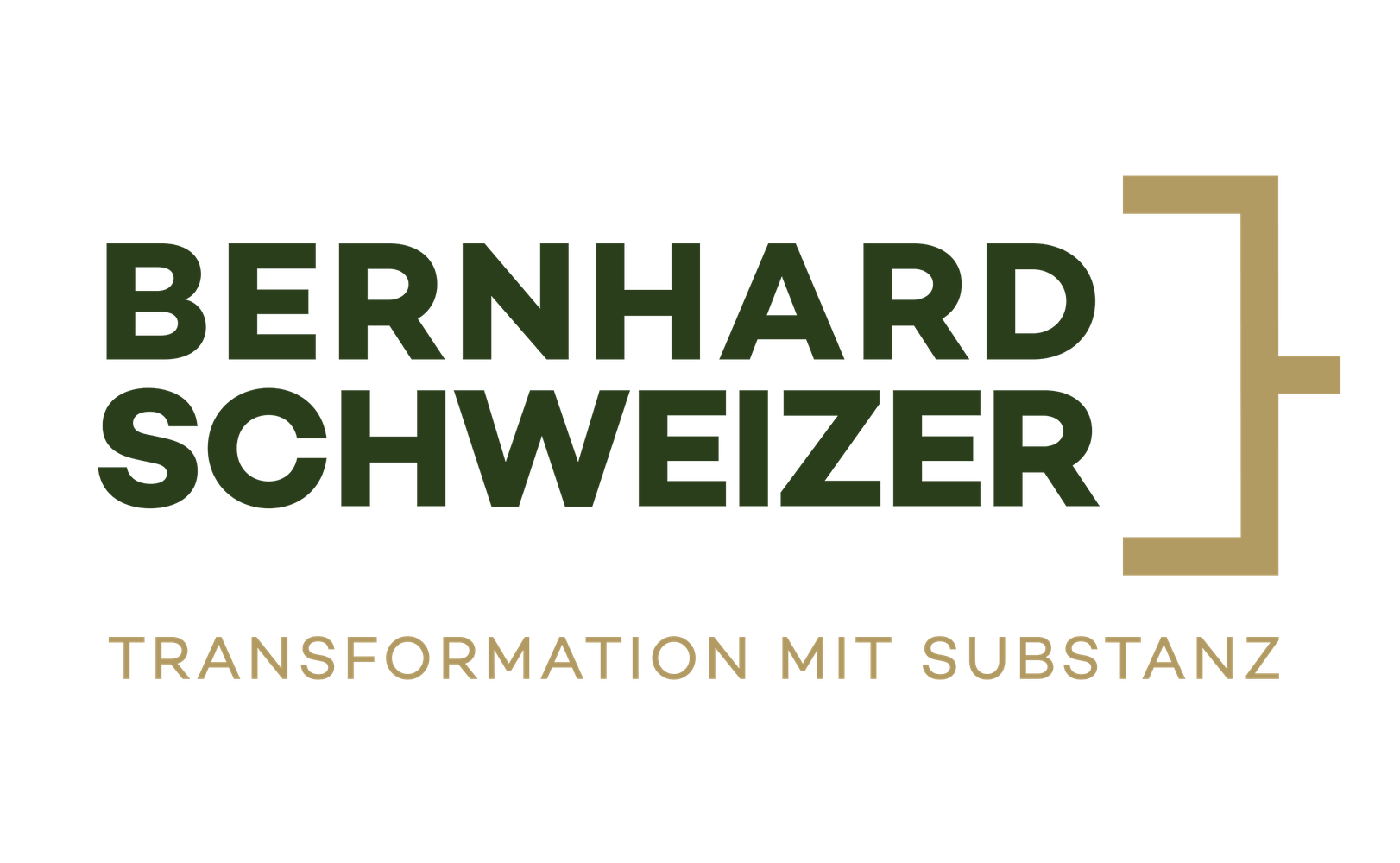 e621 - Logo_bernhard_Schweizer.png
