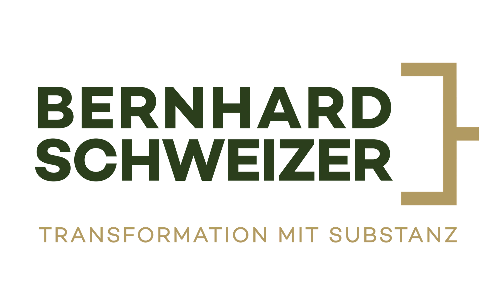 e621 - Logo_bernhard_Schweizer.png