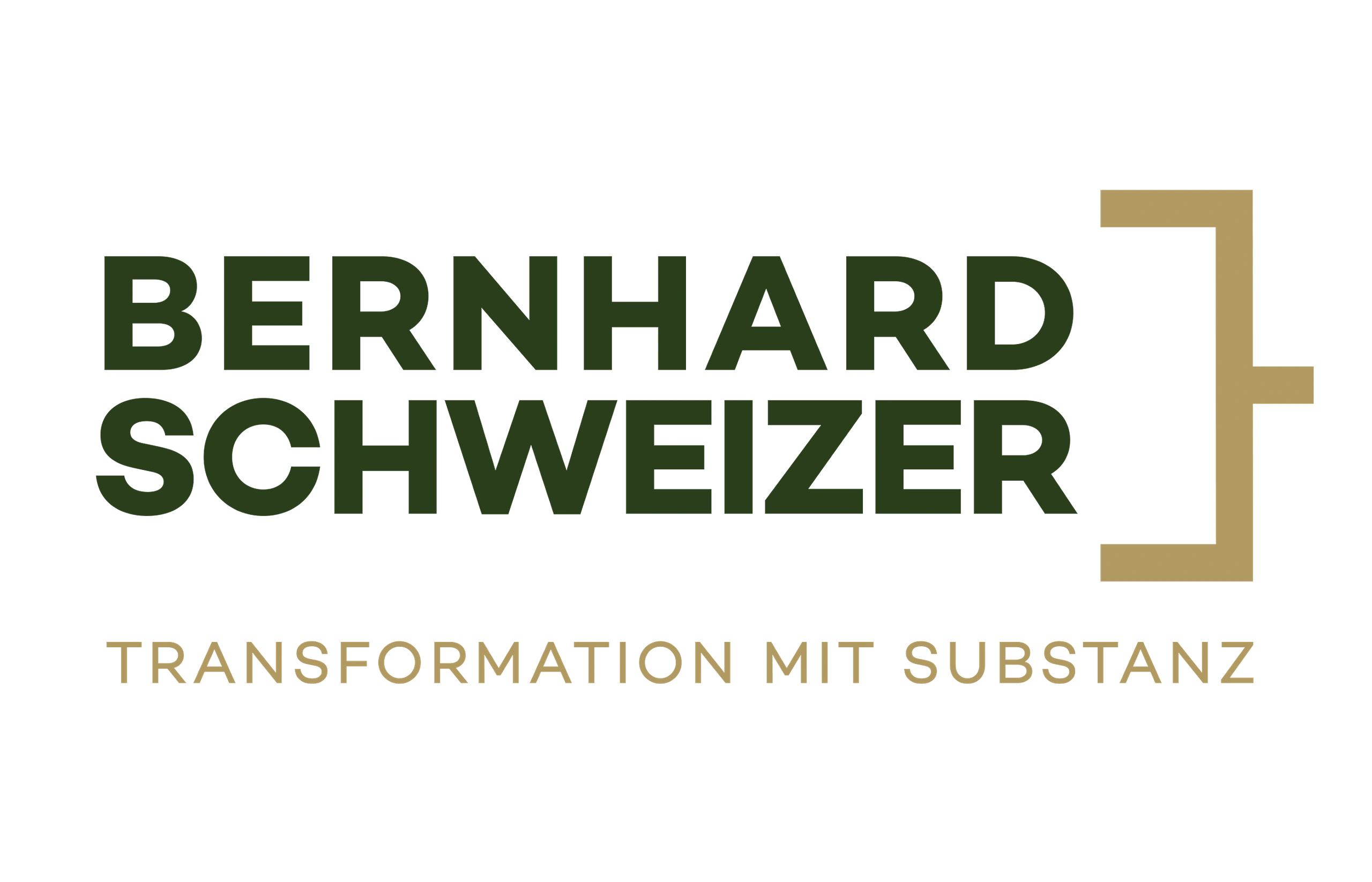 bernhard-schweizer-branding-e621