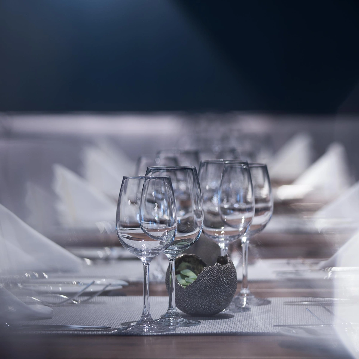 bild - e621 Les Endroits