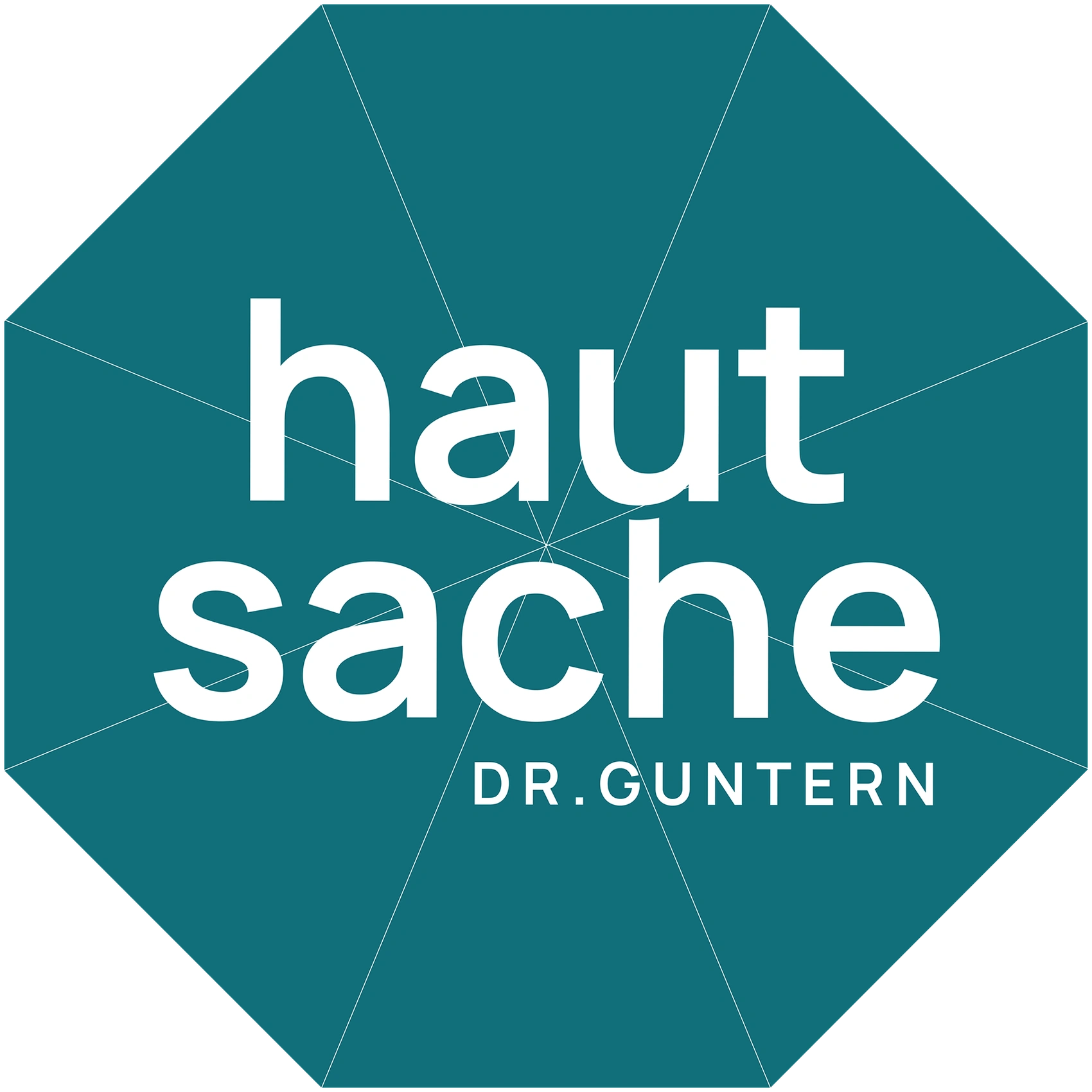 bild - e621 Dr Guntern Brig